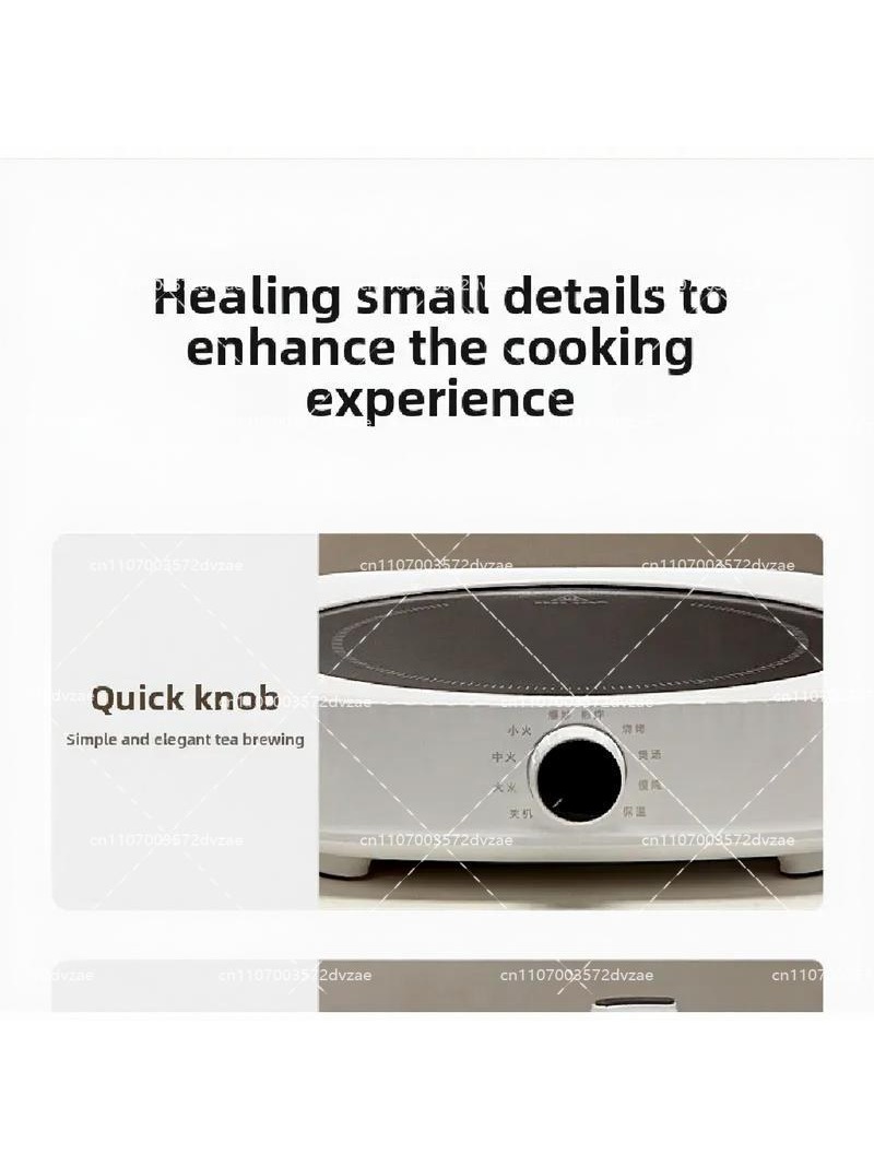 Electric Ceramic Stove Smart I - огляд і ціна Induction Cooktop Portable