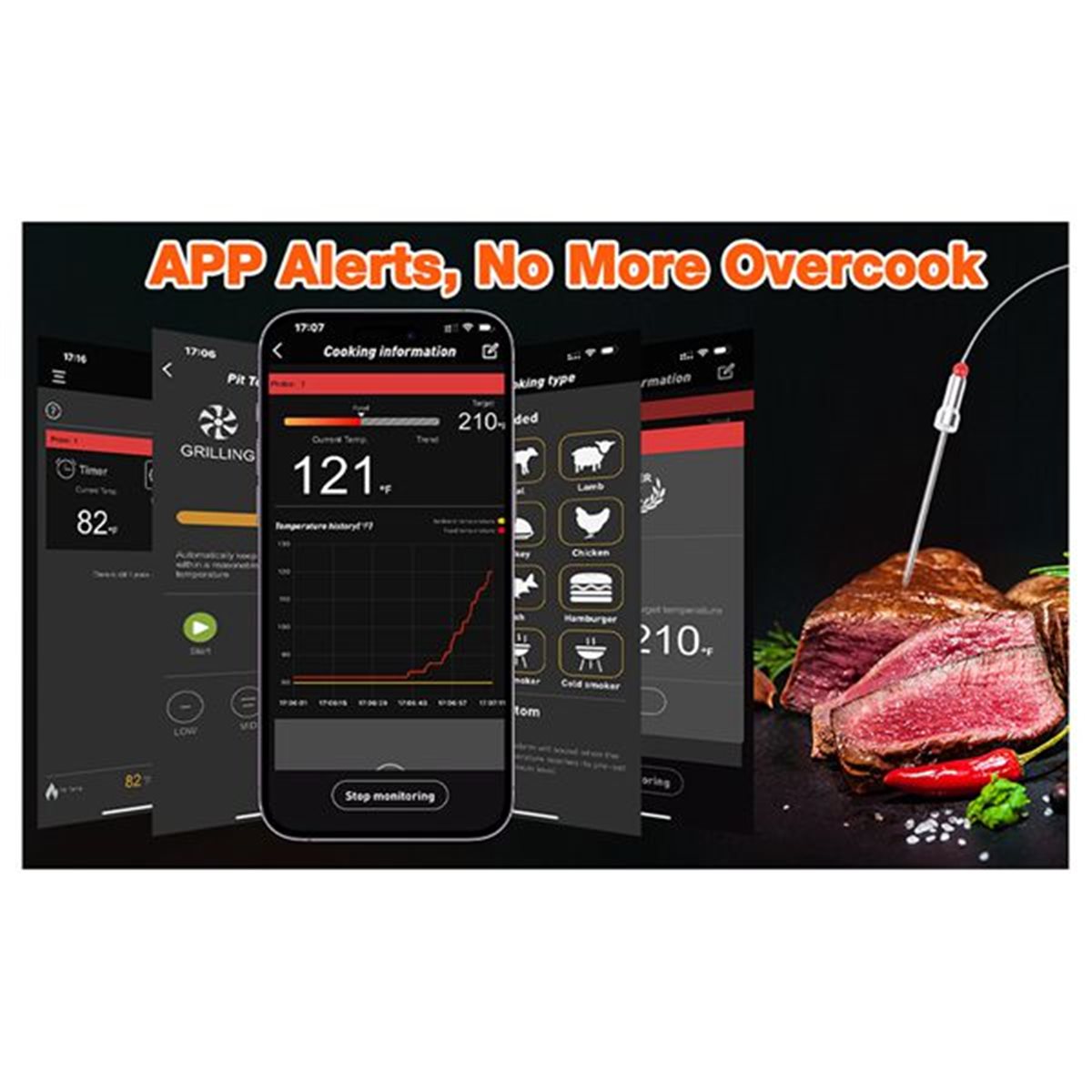 DT81 Bluetooth BBQ Grill Tempe - огляд і ціна Electric Smoker Bbq