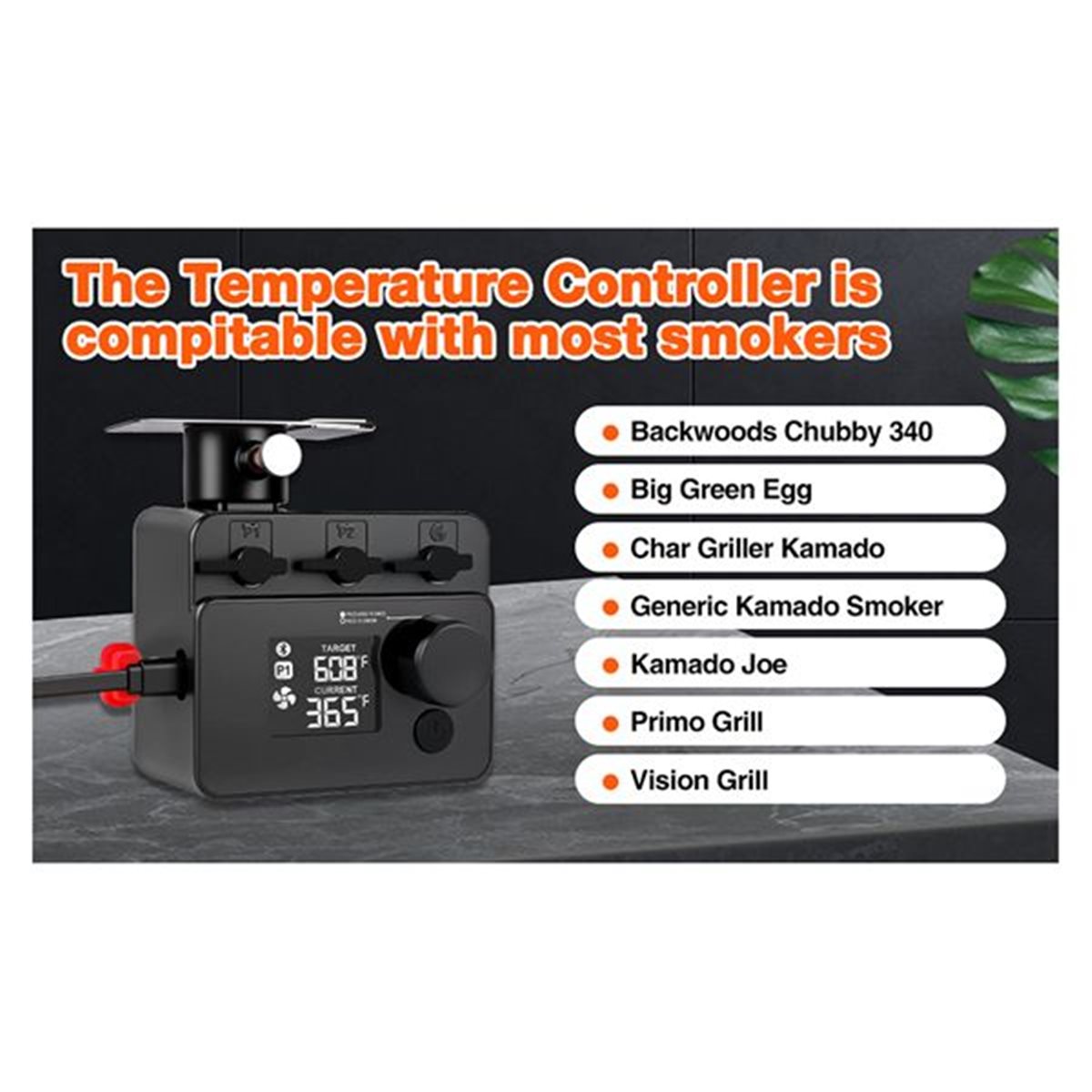 DT81 Bluetooth BBQ Grill Tempe - огляд і ціна Electric Smoker Bbq