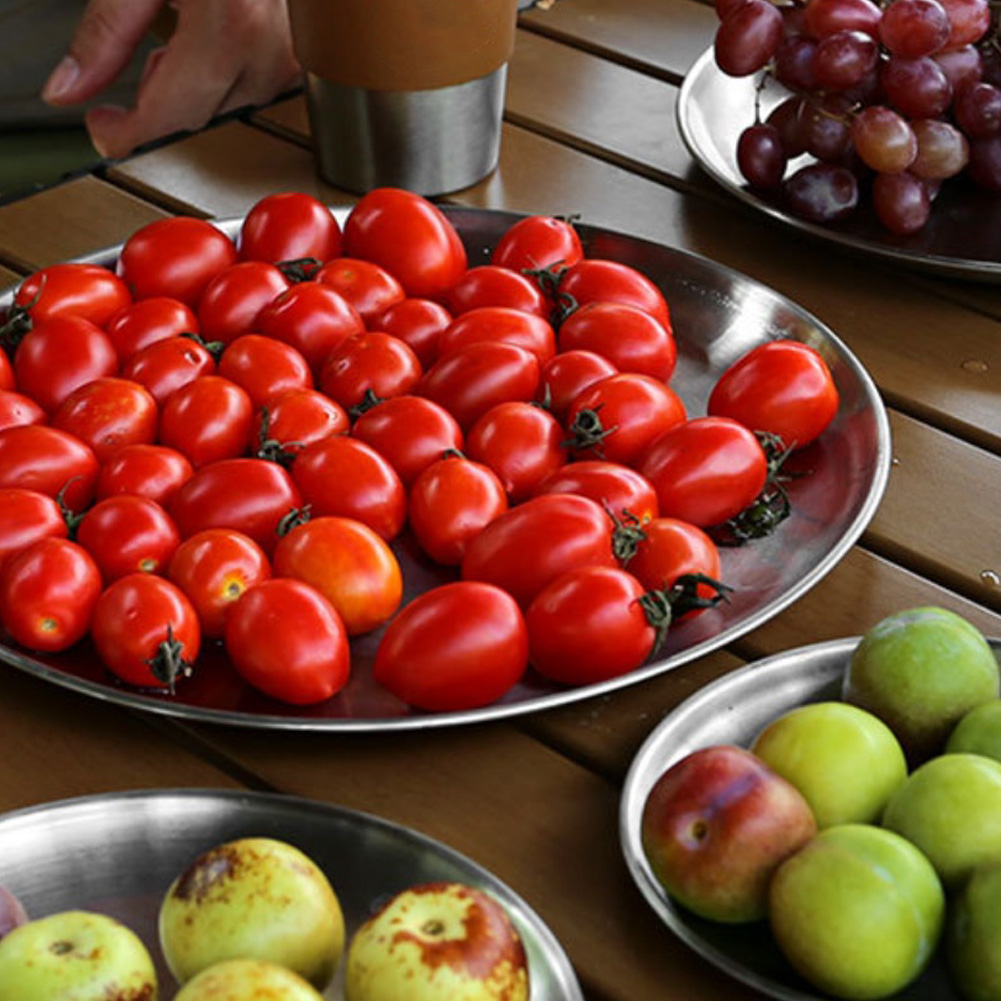 1 PCS  Stainless Steel  Plates - огляд і ціна Kitchen Appliances Set