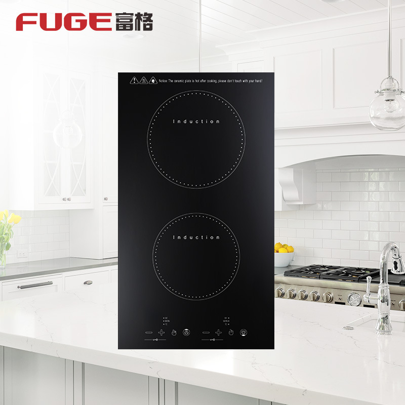 AOLIVIYA High Power Double Bur - огляд і ціна Induction Cooktop Portable