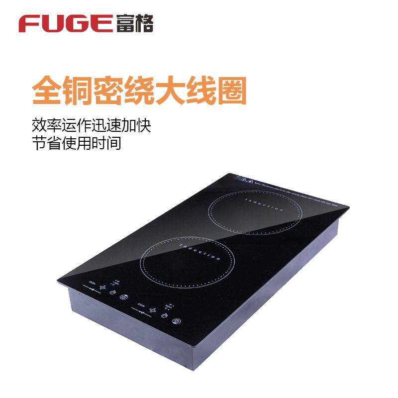 AOLIVIYA High Power Double Bur - огляд і ціна Induction Cooktop Portable